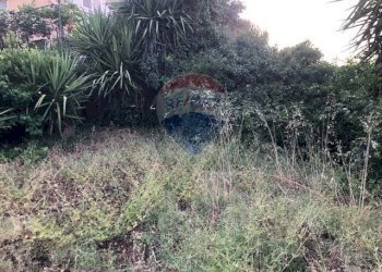 Giardino - Terreno edificabile Via Tommaso Natale
147, Palermo - foto 13