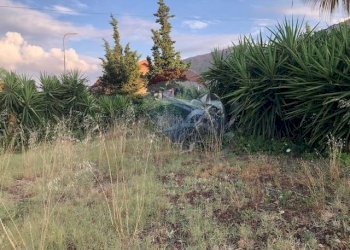 Giardino - Terreno edificabile Via Tommaso Natale
147, Palermo - foto 15