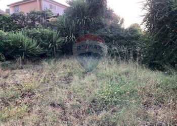 Giardino - Terreno edificabile Via Tommaso Natale
147, Palermo - foto 16