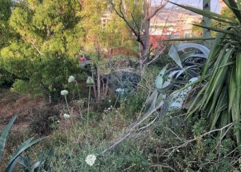 Giardino - Terreno edificabile Via Tommaso Natale
147, Palermo - foto 18