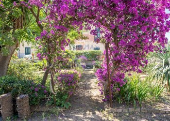 Giardino - Casa semi indipendente via Valguarnera
 
4, Bagheria - foto 16