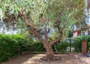 Giardino - Villa via Pacini
 
1, Tremestieri Etneo - foto 28