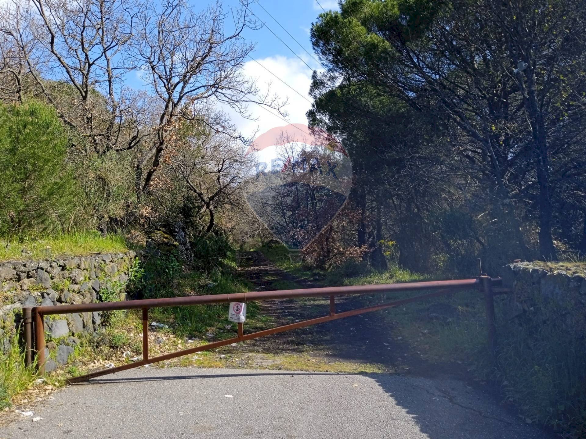 Giardino - Terreno agricolo Contrada Capreria
 
snc, Nicolosi - foto 2