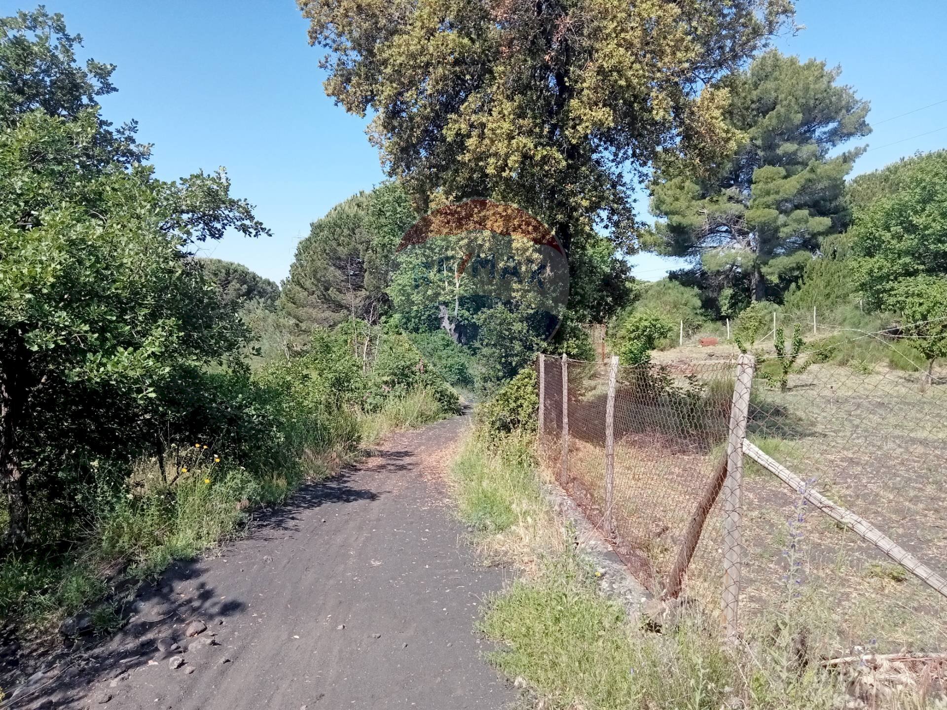 Giardino - Terreno agricolo Contrada Capreria
 
snc, Nicolosi - foto 3