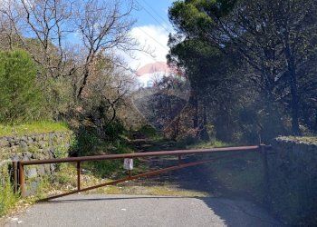 Giardino - Terreno agricolo Contrada Capreria
 
snc, Nicolosi - foto 2