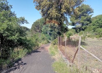 Giardino - Terreno agricolo Contrada Capreria
 
snc, Nicolosi - foto 3