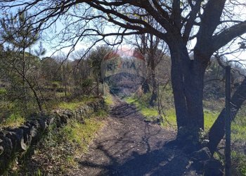 Giardino - Terreno agricolo Contrada Capreria
 
snc, Nicolosi - foto 4