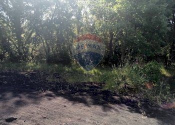 Giardino - Terreno agricolo Contrada Capreria
 
snc, Nicolosi - foto 5