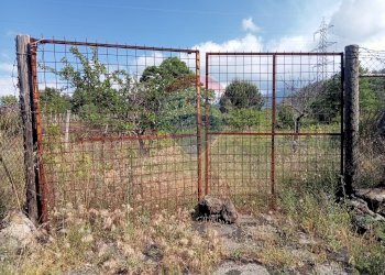 Giardino - Terreno agricolo Contrada Capreria
 
snc, Nicolosi - foto 6