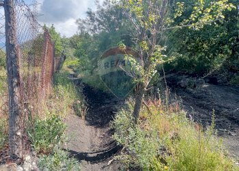 Giardino - Terreno agricolo Contrada Capreria
 
snc, Nicolosi - foto 7