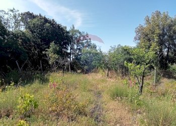 Giardino - Terreno agricolo Contrada Capreria
 
snc, Nicolosi - foto 10