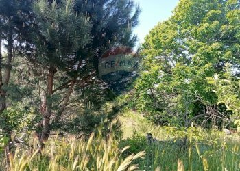 Giardino - Terreno agricolo Contrada Capreria
 
snc, Nicolosi - foto 12