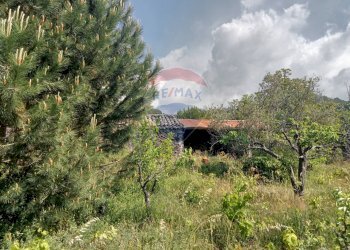 Giardino - Terreno agricolo Contrada Capreria
 
snc, Nicolosi - foto 15