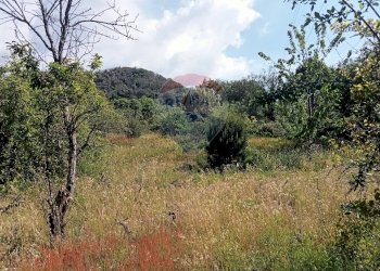 Vista delle montagne - Terreno agricolo Contrada Capreria
 
snc, Nicolosi - foto 21