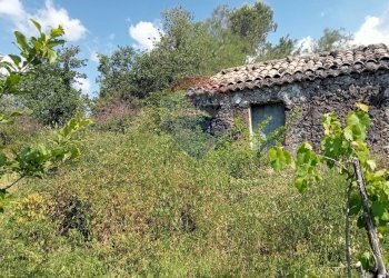 Giardino - Terreno agricolo Contrada Capreria
 
snc, Nicolosi - foto 22