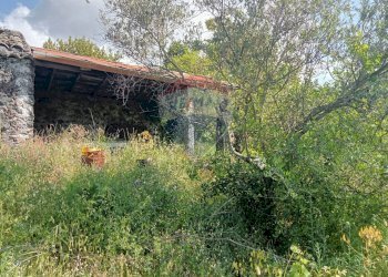 Giardino - Terreno agricolo Contrada Capreria
 
snc, Nicolosi - foto 24