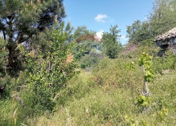 Giardino - Terreno agricolo Contrada Capreria
 
snc, Nicolosi - foto 25