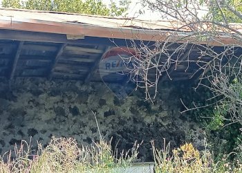 Giardino - Terreno agricolo Contrada Capreria
 
snc, Nicolosi - foto 26