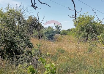 Giardino - Terreno agricolo Contrada Capreria
 
snc, Nicolosi - foto 29