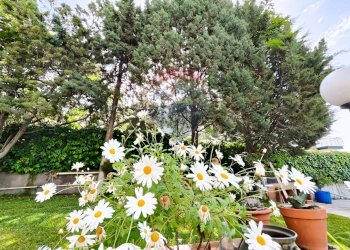 Giardino - Villa via giovanni pascoli
 
15, Mascalucia - foto 96