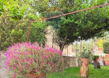 Giardino - Villa via giovanni pascoli
 
15, Mascalucia - foto 98