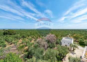 Giardino - Hotel Str. Prov. 107 Giovinazzo, Giovinazzo - foto 12