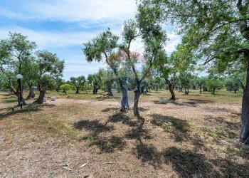 Giardino - Hotel Str. Prov. 107 Giovinazzo, Giovinazzo - foto 26