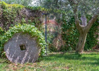 Giardino - Hotel Str. Prov. 107 Giovinazzo, Giovinazzo - foto 32