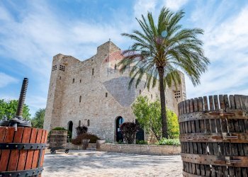 Edificio all\'aperto - Hotel Str. Prov. 107 Giovinazzo, Giovinazzo - foto 42