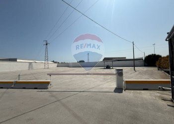 Terrazza - Shed Strada Provinciale Ceglie Valenzano
64, Bari - photo 14