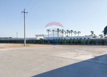 Edificio all\'aperto - Locale Commerciale SP76, Km 10, Sannicandro di Bari - foto 2