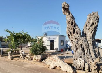 Edificio all\'aperto - Locale Commerciale SP76, Km 10, Sannicandro di Bari - foto 4