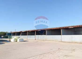 Edificio all\'aperto - Locale Commerciale SP76, Km 10, Sannicandro di Bari - foto 8