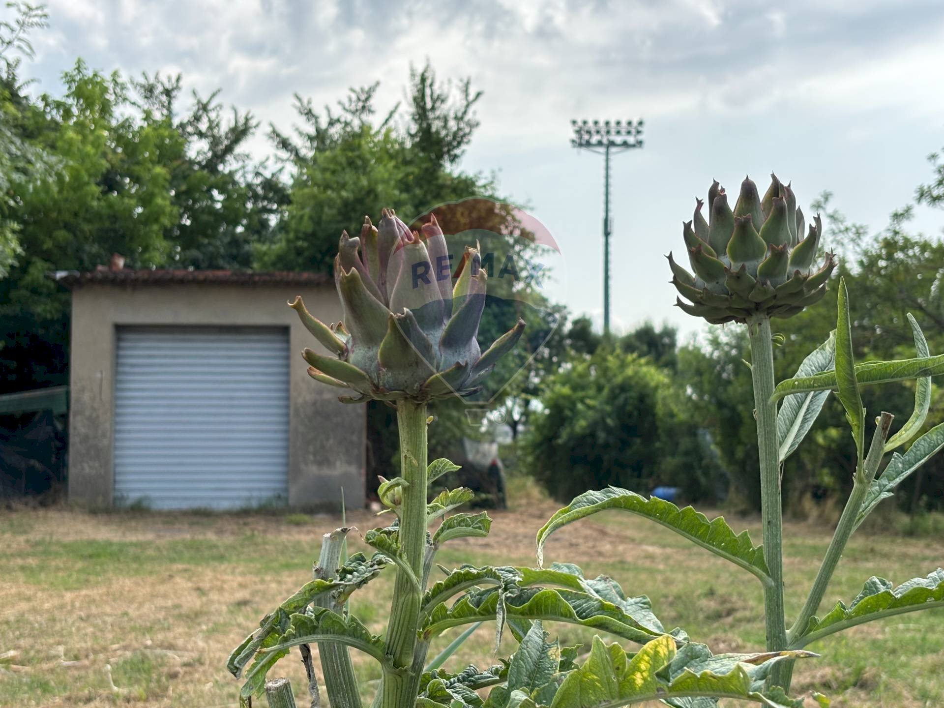Giardino - Terreno agricolo via donica
 
37d, Santa Croce sull'Arno - foto 1