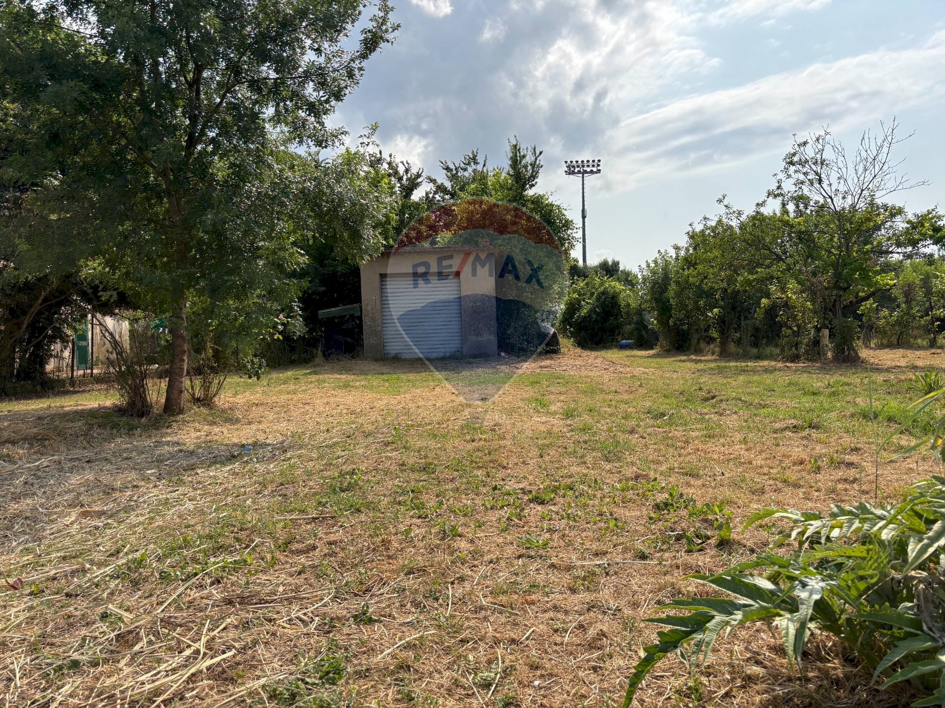 Giardino - Terreno agricolo via donica
 
37d, Santa Croce sull'Arno - foto 2