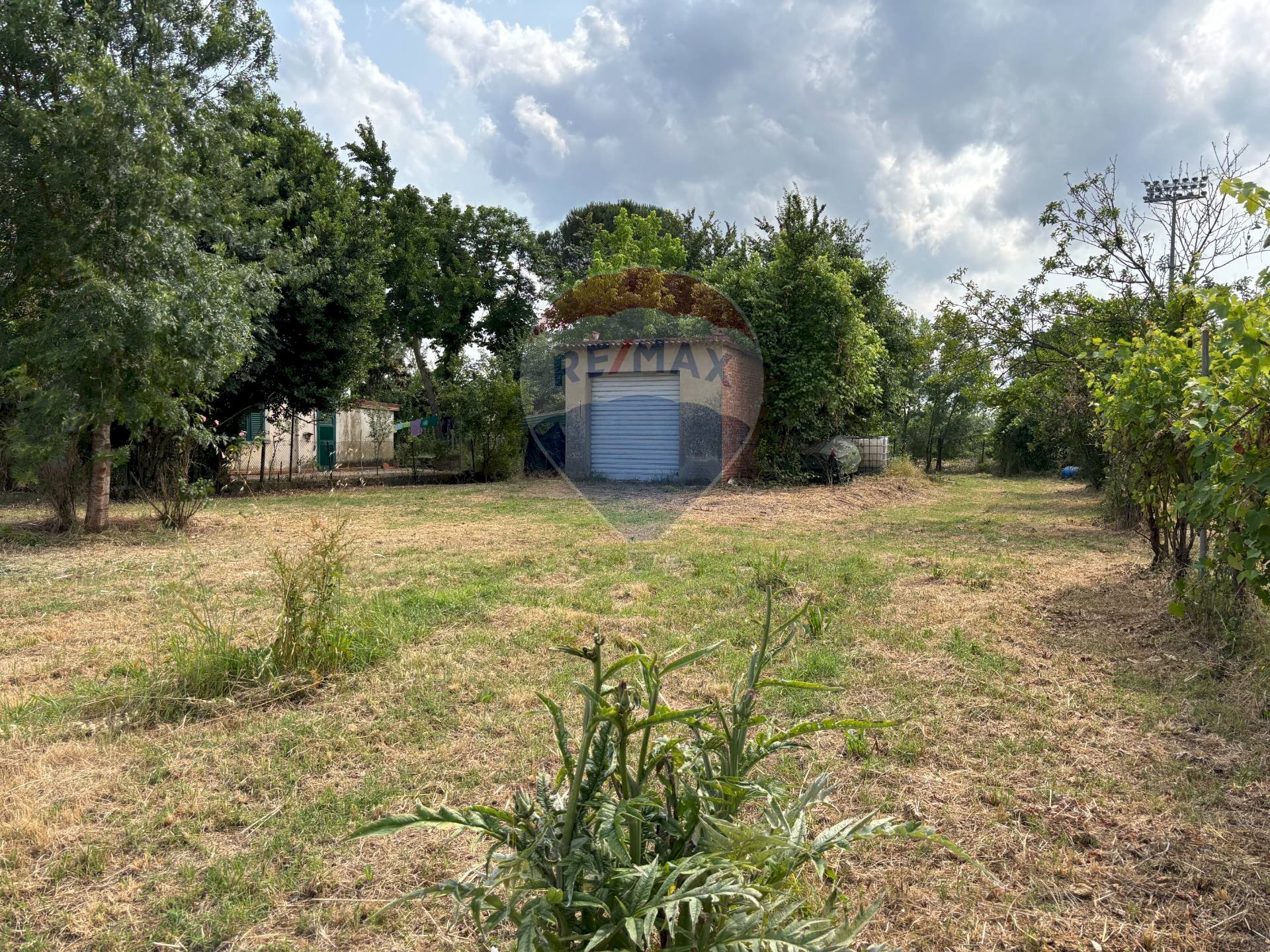 Giardino - Terreno agricolo via donica
 
37d, Santa Croce sull'Arno - foto 3