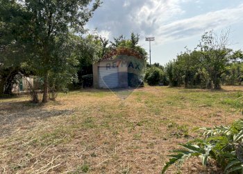 Giardino - Agricultural land via donica
37d, Santa Croce sull'Arno - photo 2