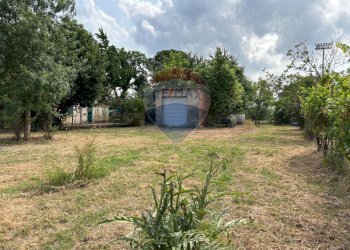 Giardino - Agricultural land via donica
37d, Santa Croce sull'Arno - photo 3