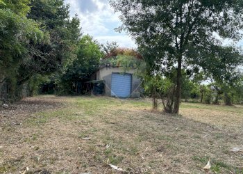 Giardino - Agricultural land via donica
37d, Santa Croce sull'Arno - photo 4