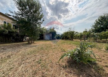 Giardino - Agricultural land via donica
37d, Santa Croce sull'Arno - photo 5