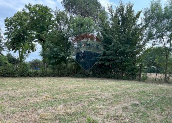 Giardino - Agricultural land via donica
37d, Santa Croce sull'Arno - photo 8