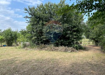 Giardino - Agricultural land via donica
37d, Santa Croce sull'Arno - photo 10