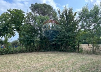 Giardino - Agricultural land via donica
37d, Santa Croce sull'Arno - photo 11