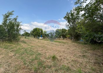 Giardino - Agricultural land via donica
37d, Santa Croce sull'Arno - photo 12