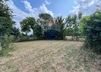 Giardino - Agricultural land via donica
37d, Santa Croce sull'Arno - photo 13