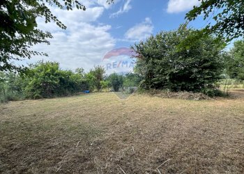 Giardino - Agricultural land via donica
37d, Santa Croce sull'Arno - photo 15