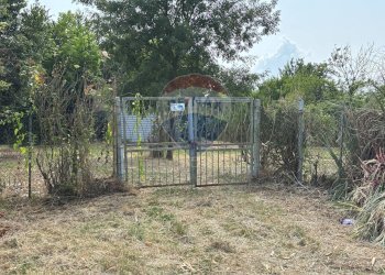 Giardino - Agricultural land via donica
37d, Santa Croce sull'Arno - photo 18