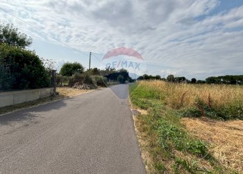 Non correlato - Agricultural land via donica
37d, Santa Croce sull'Arno - photo 19