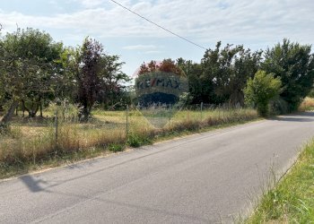 Giardino - Agricultural land via donica
37d, Santa Croce sull'Arno - photo 20