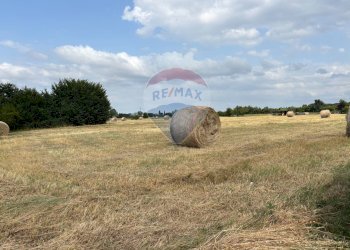 Giardino - Agricultural land via donica
37d, Santa Croce sull'Arno - photo 23